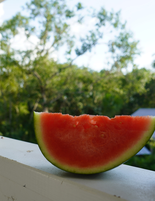 Watermelon